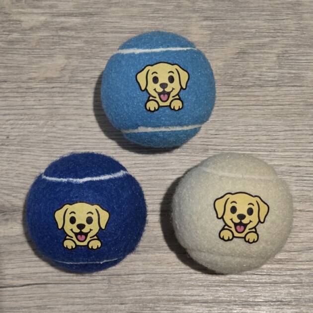 Dogge Mini Tennis Balls